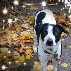 Meet your Posher, Kellee